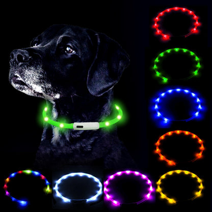 Led Glowing Dog Collar Pet
