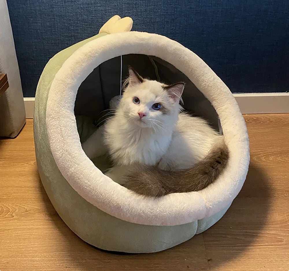 Deep Sleep Cat Bed Cartoon