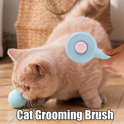 Cat Brush Pet Grooming Brush