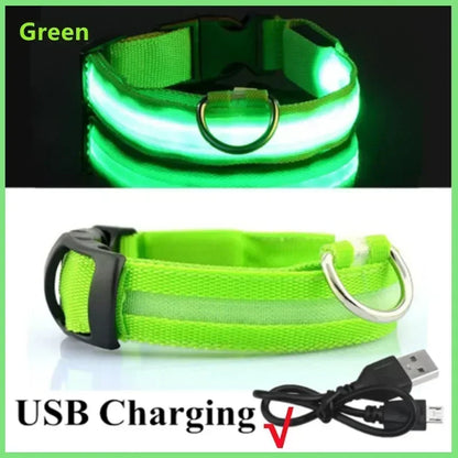 USB-Rechargeable LED Safety Collar