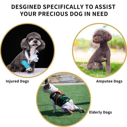 Adjustable Dog Lift Harness