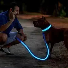 USB-Rechargeable LED Safety Collar