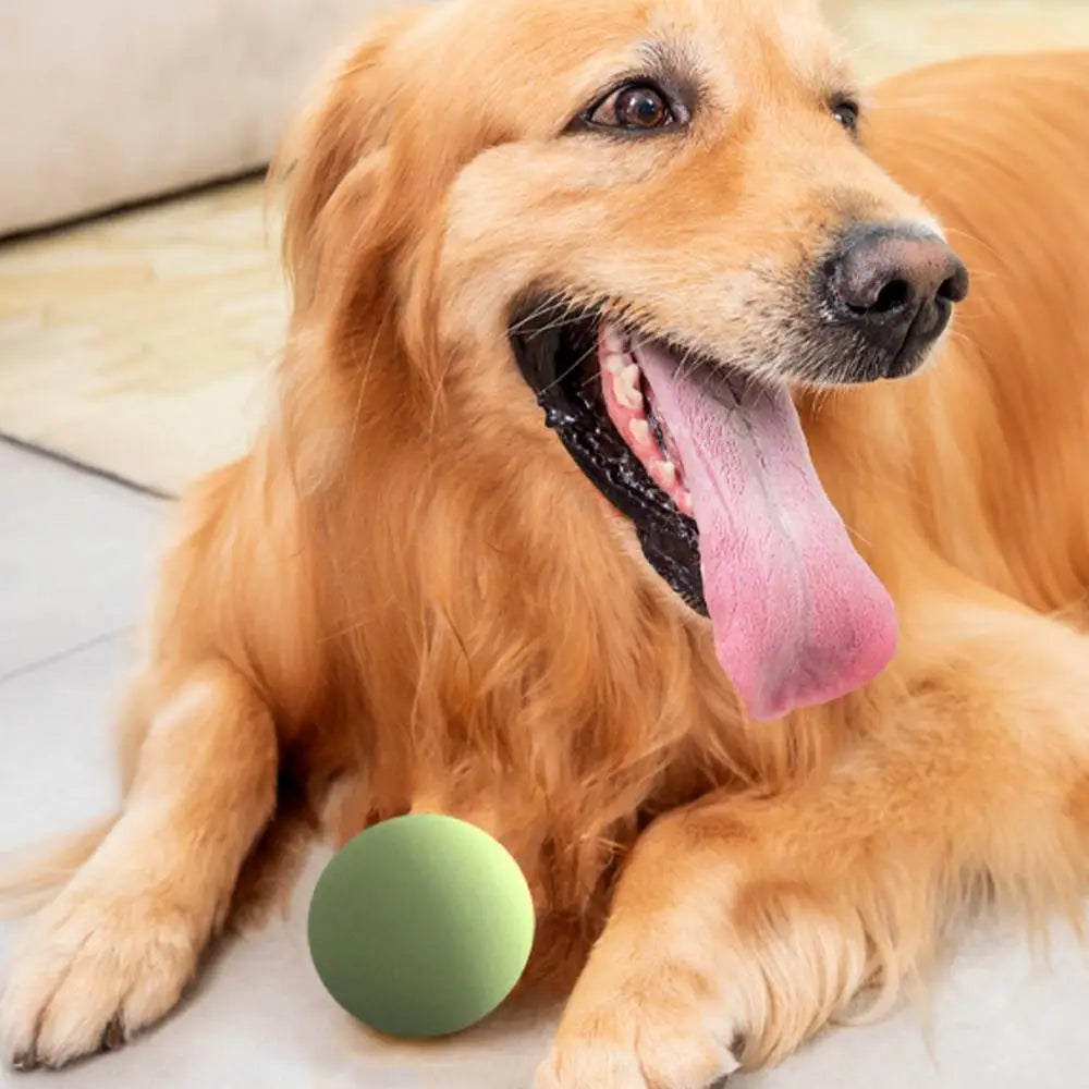 Dog Toys Throwing Pole Pet