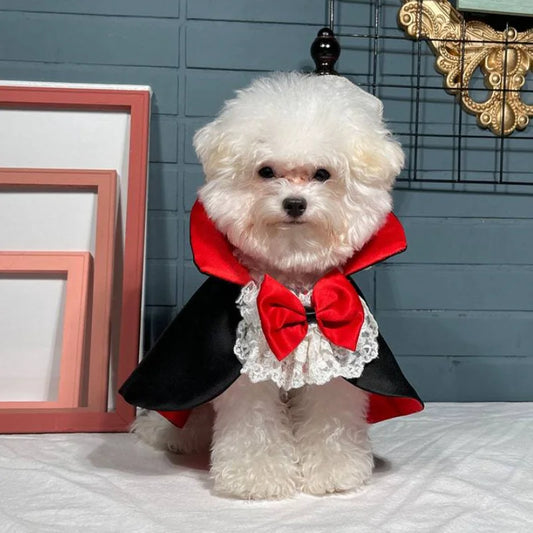 Dog Halloween Vampire Costume