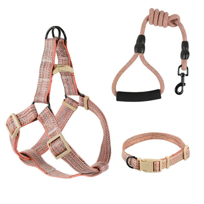 Dog Harness, Leash & Bow Set