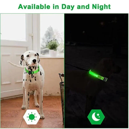 USB-Rechargeable LED Safety Collar