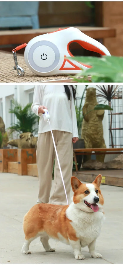 Retractable LED Leash for Small and Medium Dogs