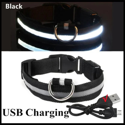 USB-Rechargeable LED Safety Collar