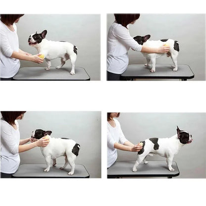 Pet Products For Dog Cat