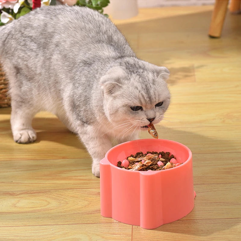 Pet Bowl Cats And Dogs