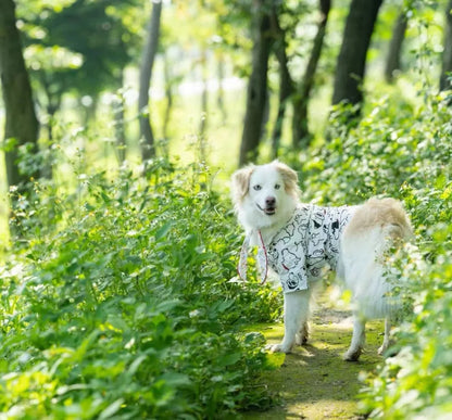 Summer Breathable Pet Shirt Dog