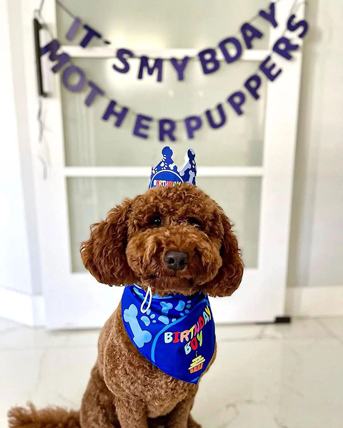 Pet Birthday Party Flag Decoration