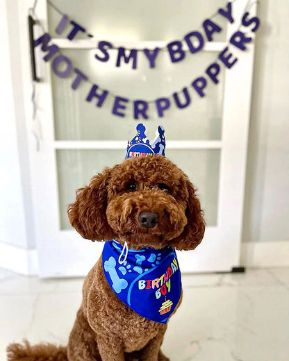 Pet Birthday Party Flag Decoration
