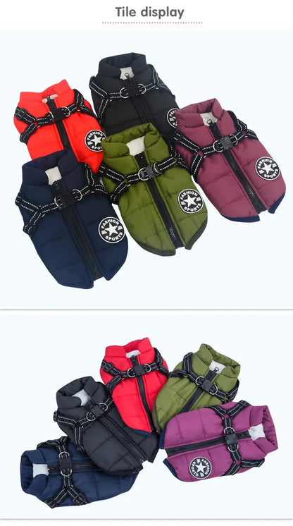 Waterproof Dog Jacket with Harness