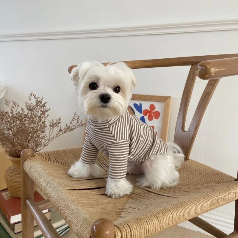 Ins Pet Dog Hoodie Winter
