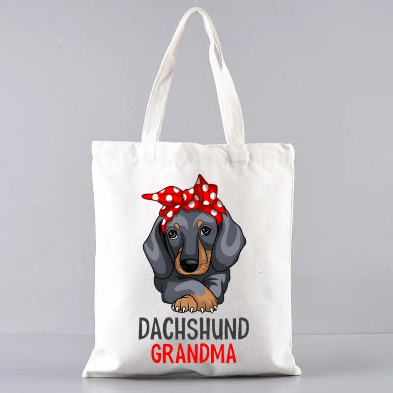 Large‑Capacity Pet Carrier Bag