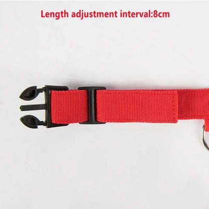 USB-Rechargeable LED Safety Collar