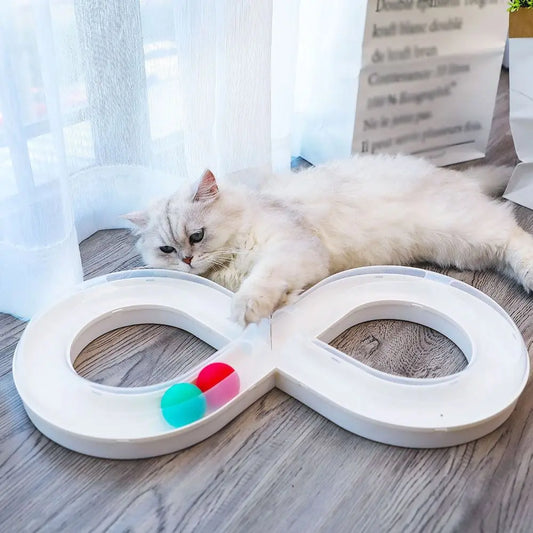 Cat Tunnel Funny Cat Fun
