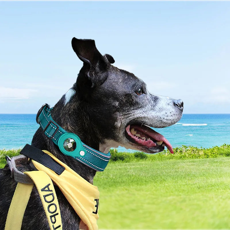Airtag Dog Collar Tracker