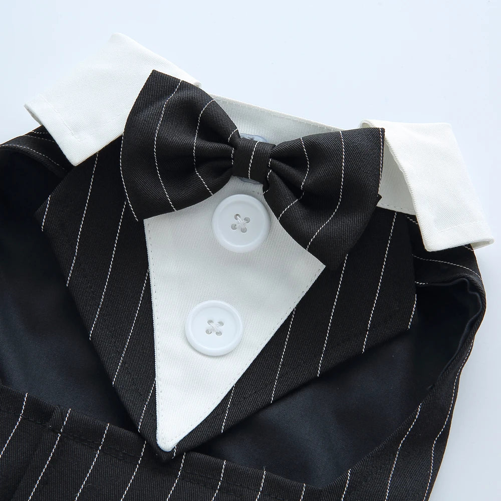 Dog Tuxedo Halloween Costume