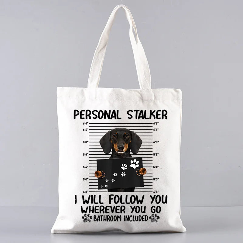 Large‑Capacity Pet Carrier Bag