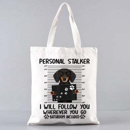 Large‑Capacity Pet Carrier Bag