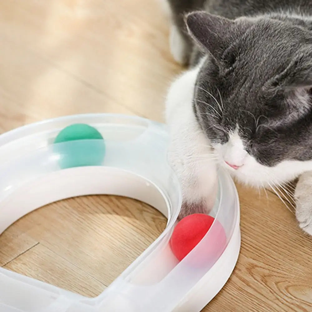 Cat Tunnel Funny Cat Fun