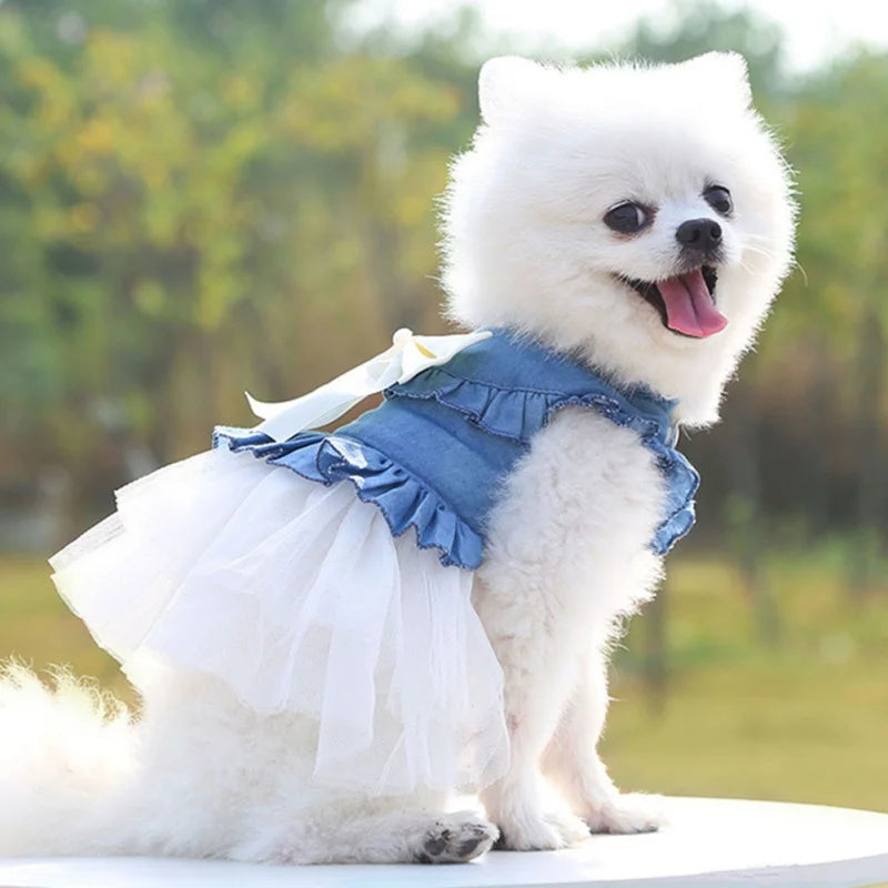 Spring Summer Dog Princess Dress