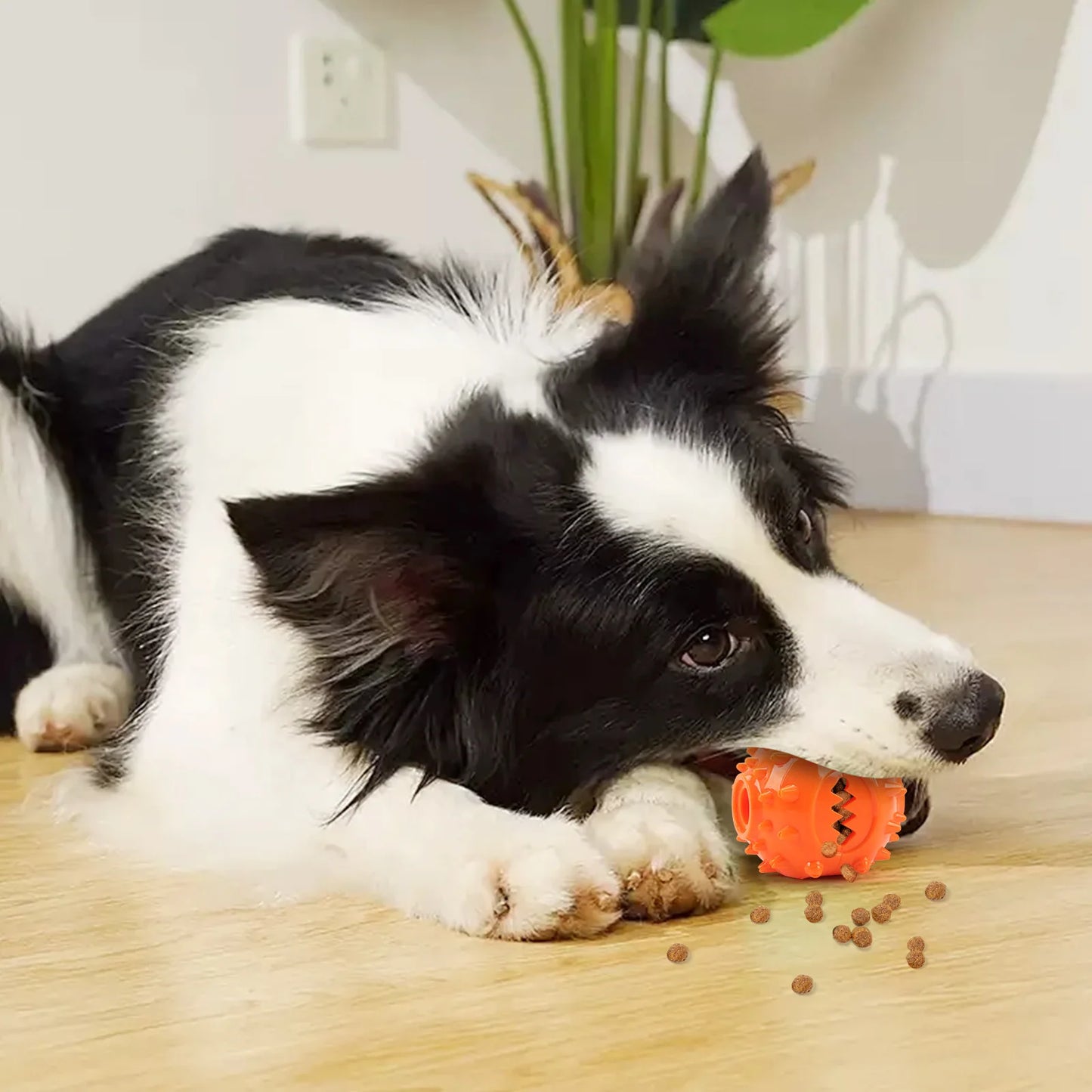 Dog Interactive Chew Treat Dispensing Ball - Self-Play, Bore