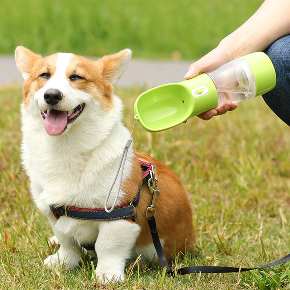 2‑in‑1 Portable Dog Water Bottle