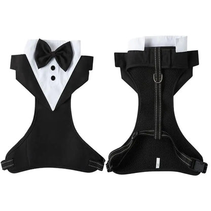 Dogs Tuxedo Wedding Party Suit