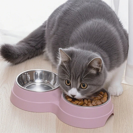 Double Cat Bowl with Stand