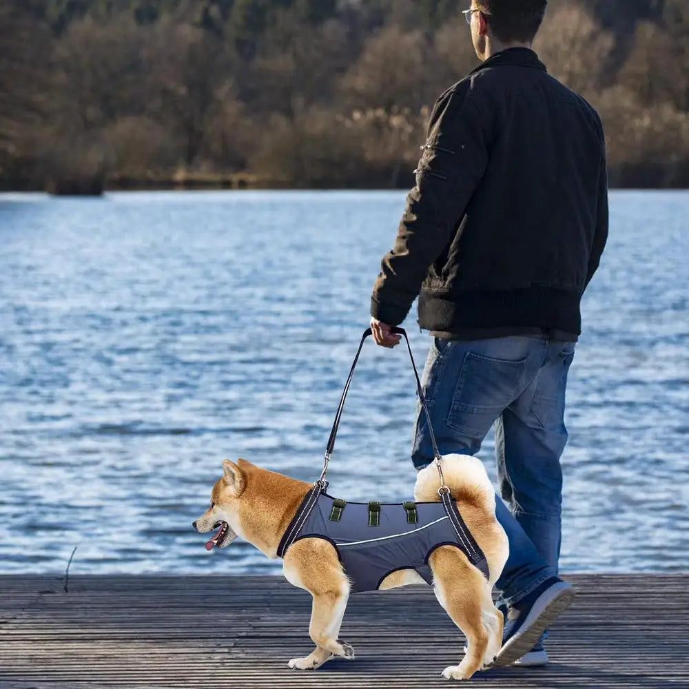 Adjustable Dog Lift Harness