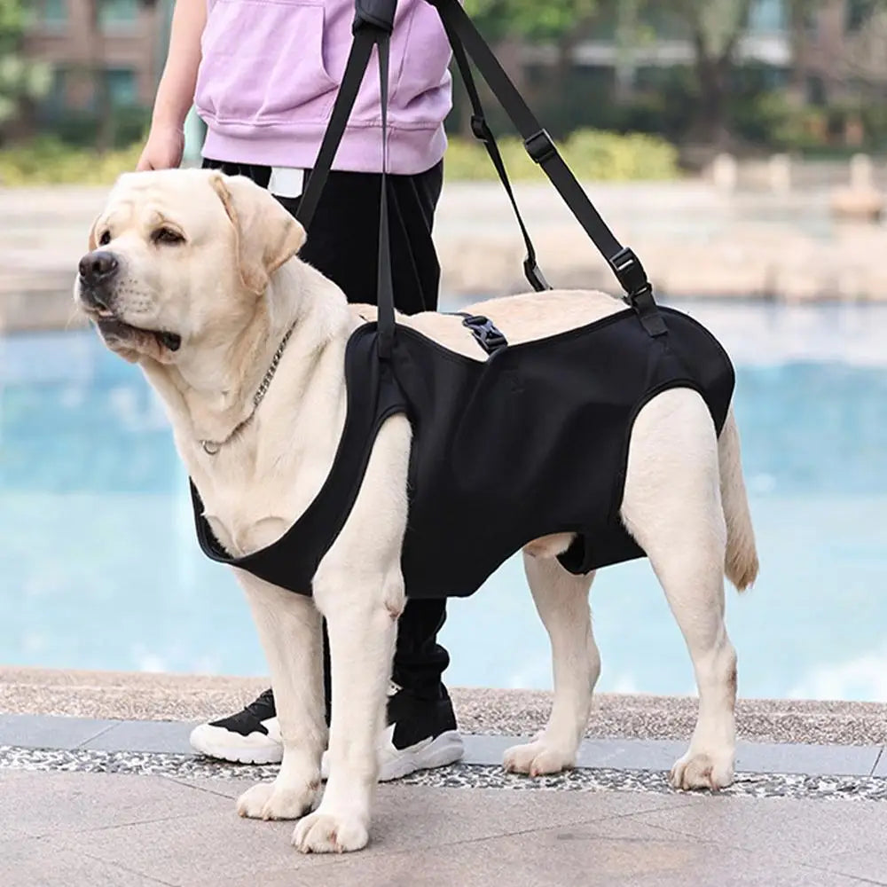 Pet Rehabilitation Sling Pet Rehabilitation Lift Vest Thicke