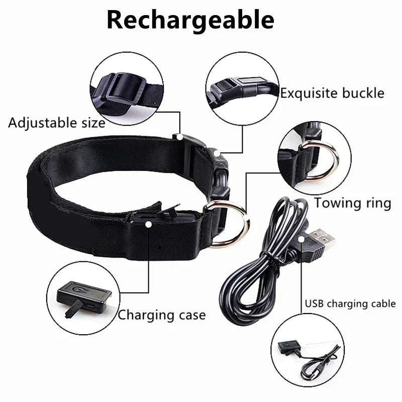 USB-Rechargeable LED Safety Collar