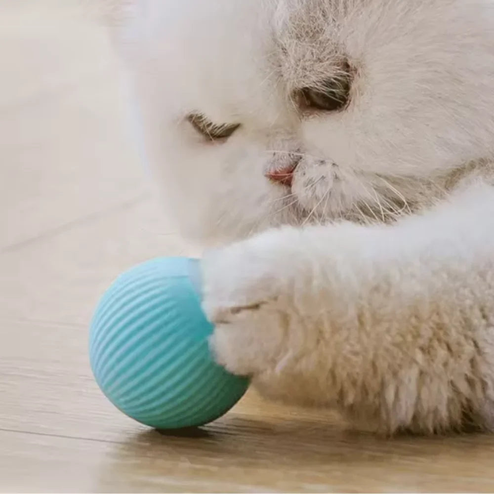 Automatic Rolling Cat Ball Toys