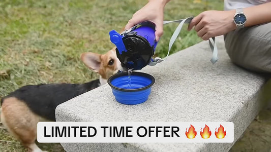 Portable 2 in 1 Pet Water Bottle with Folding Bowl
